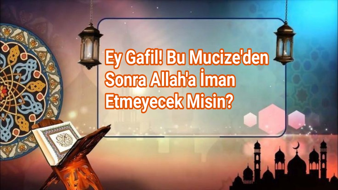 Ey Gafil! Bu Mucizeden Sonra Allah’a İman Etmeyecek Misin?