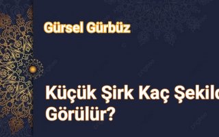  Küçük Şirk Kaç Şekilde Görülür?