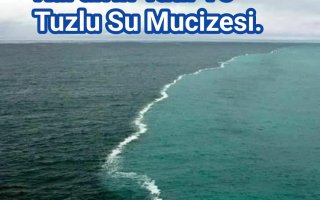 Kur’an’ın Tatlı Ve Tuzlu Su Mucizesi